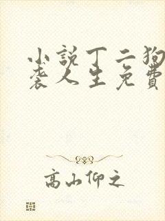 小说丁二狗的逆袭人生免费阅读