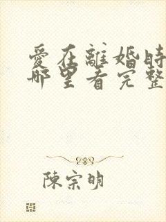 爱在离婚时短剧哪里看完整版