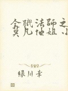 全职法师之我是莫凡他姐 小说