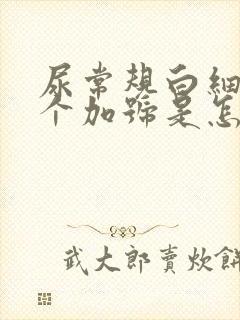 尿常规白细胞3个加号是怎么回事