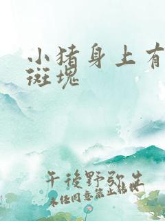 小猪身上有黑色斑块