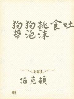 狗狗挑食吐黄水带泡沫