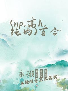 (np,高h,纯肉)百合