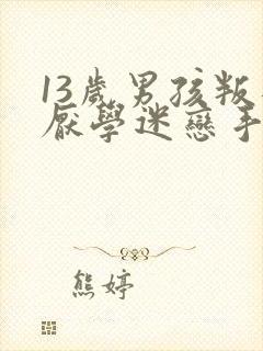 13岁男孩叛逆厌学迷恋手机怎么办?