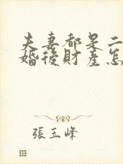 夫妻都是二婚离婚后财产怎么分配