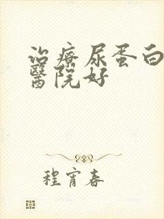 治疗尿蛋白那家医院好