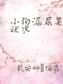 小狗漏尿是什么状况