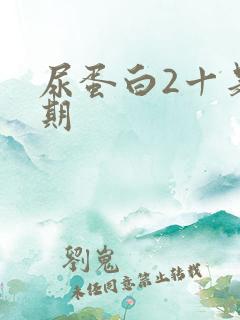 尿蛋白2十是几期