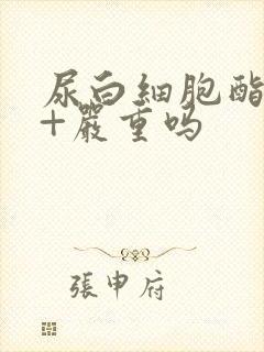 尿白细胞酯酶1+严重吗