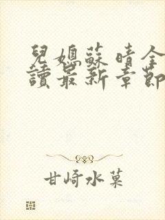 儿媳苏晴全文阅读最新章节内容