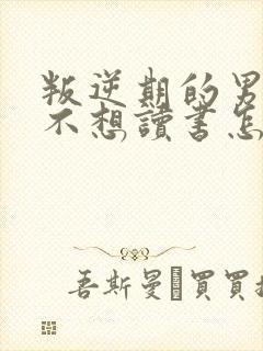 叛逆期的男孩子不想读书怎么办