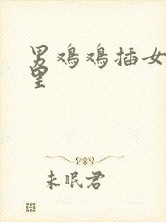 男鸡鸡插女鸡鸡里