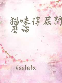 猫咪得尿闭症怎么治