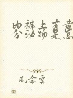 内裤上有黄黄的分泌物是怎么回事?