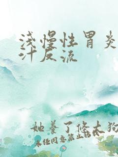 浅慢性胃炎伴胆汁反流