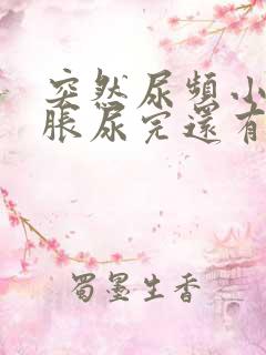 突然尿频小腹坠胀尿完还有尿意