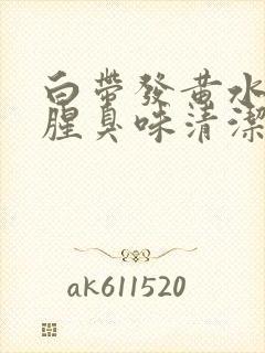 白带发黄水状有腥臭味清洁度三