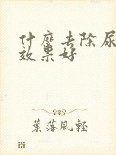 什么去除尿骚味效果好