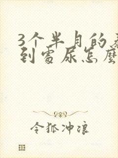 3个半月的泰迪到处尿怎么办