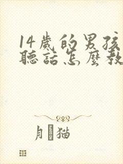 14岁的男孩不听话怎么教