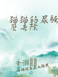 猫猫的尿骚味怎么去除