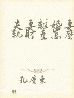 夫妻离婚妻子出轨财产怎么分割