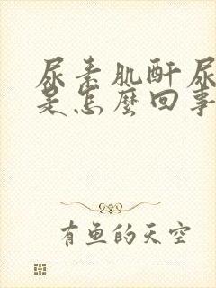 尿素肌酐尿酸高是怎么回事