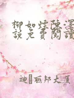 柳如烟陈泽的小说免费阅读