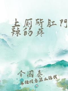 上厕所肛门火辣辣的疼