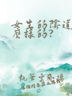 女生的阴道是什么样的?