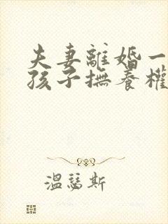 夫妻离婚一个男孩子抚养权怎么判定