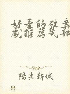 好看的破案电视剧推荐几部 前十名