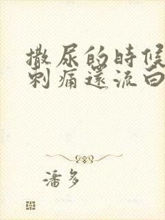 撒尿的时候尿道刺痛还流白色液体