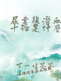 尿常规潜血4个十号是什么意思