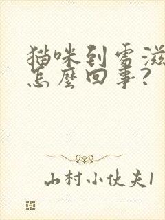 猫咪到处滋尿是怎么回事?