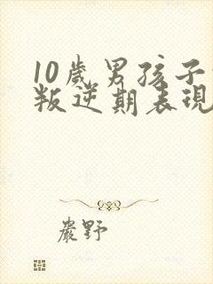 10岁男孩子的叛逆期表现