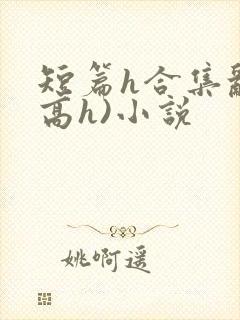 短篇h合集乱(高h)小说