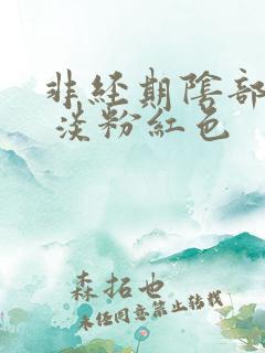 非经期阴部出血 淡粉红色