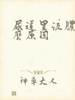 尿道里流脓是什么原因