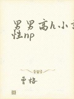 男男高h小说双性np