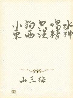 小狗只喝水不吃东西没精神呕吐怎么办