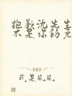 抱歉沈先生孩子不是你的免费