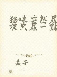 猫咪突然尿频每次只尿一点