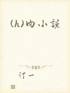 (h)肉小说