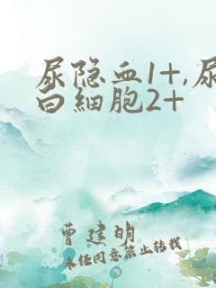 尿隐血1+,尿白细胞2+