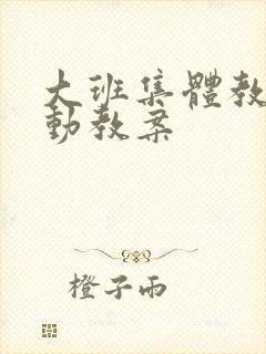 大班集体教学活动教案