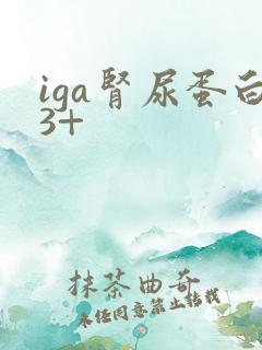 iga肾尿蛋白3+