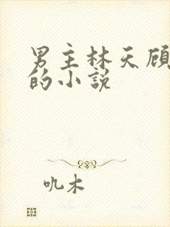 男主林天顾悦瑶的小说