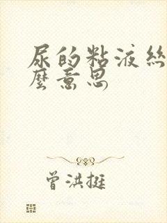 尿的粘液丝是什么意思