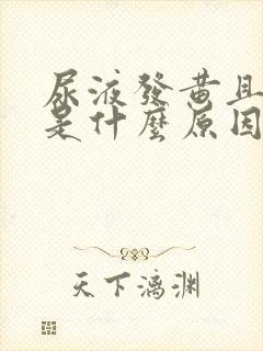 尿液发黄且浑浊是什么原因